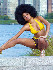Black Pornstars