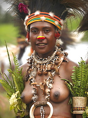 Wild Africa