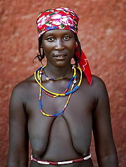 Wild Africa